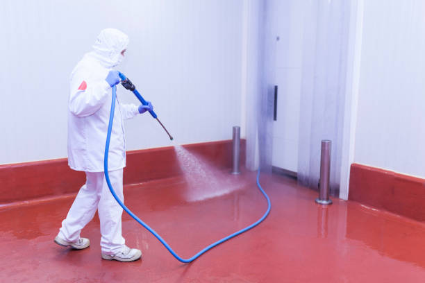 Best Building Exterior Washing  in Cedar Hill, TX