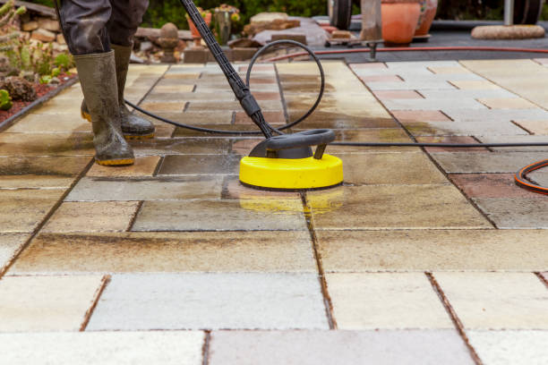 Best Animal Enclosure Cleaning  in Cedar Hill, TX